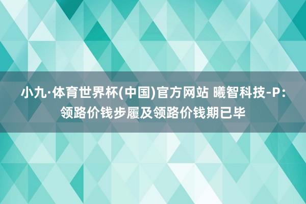 小九·体育世界杯(中国)官方网站 曦智科技-P：领路价钱步履及领路价钱期已毕