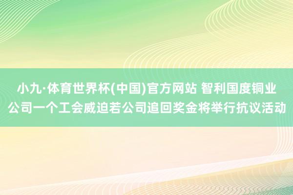 小九·体育世界杯(中国)官方网站 智利国度铜业公司一个工会威迫若公司追回奖金将举行抗议活动