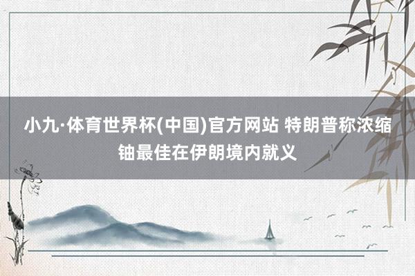 小九·体育世界杯(中国)官方网站 特朗普称浓缩铀最佳在伊朗境内就义
