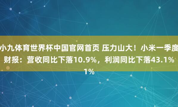 小九体育世界杯中国官网首页 压力山大！小米一季度财报：营收同比下落10.9%，利润同比下落43.1%