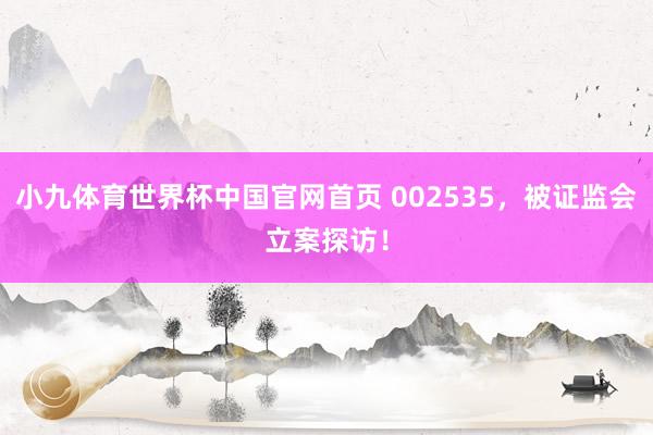 小九体育世界杯中国官网首页 002535，被证监会立案探访！
