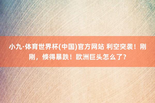 小九·体育世界杯(中国)官方网站 利空突袭！刚刚，倏得暴跌！欧洲巨头怎么了？