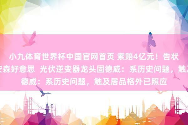 小九体育世界杯中国官网首页 索赔4亿元！告状外洋半导体巨头安森好意思  光伏逆变器龙头固德威：系历史问题，触及居品格外已照应