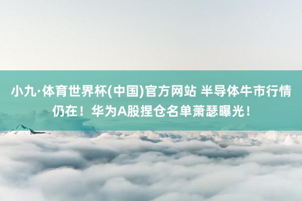小九·体育世界杯(中国)官方网站 半导体牛市行情仍在！华为A股捏仓名单萧瑟曝光！