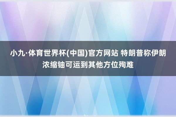 小九·体育世界杯(中国)官方网站 特朗普称伊朗浓缩铀可运到其他方位殉难