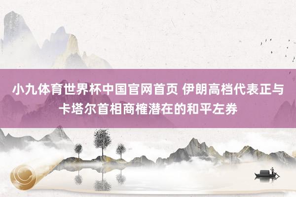 小九体育世界杯中国官网首页 伊朗高档代表正与卡塔尔首相商榷潜在的和平左券