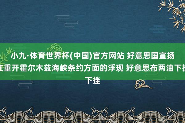 小九·体育世界杯(中国)官方网站 好意思国宣扬在重开霍尔木兹海峡条约方面的浮现 好意思布两油下挫