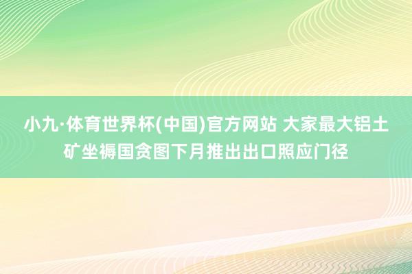 小九·体育世界杯(中国)官方网站 大家最大铝土矿坐褥国贪图下月推出出口照应门径
