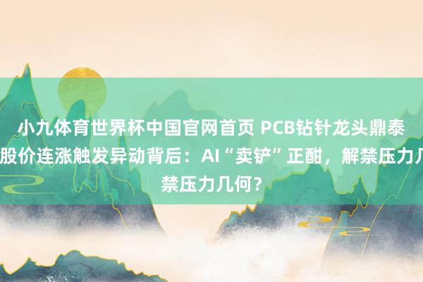 小九体育世界杯中国官网首页 PCB钻针龙头鼎泰高科股价连涨触发异动背后：AI“卖铲”正酣，解禁压力几何？