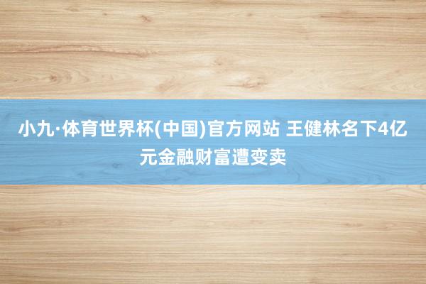 小九·体育世界杯(中国)官方网站 王健林名下4亿元金融财富遭变卖