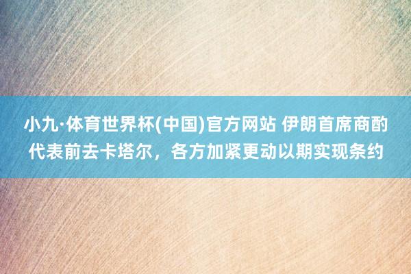 小九·体育世界杯(中国)官方网站 伊朗首席商酌代表前去卡塔尔，各方加紧更动以期实现条约