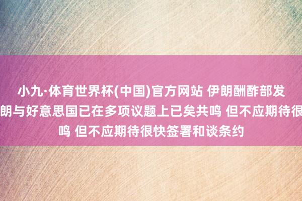 小九·体育世界杯(中国)官方网站 伊朗酬酢部发言东说念主：伊朗与好意思国已在多项议题上已矣共鸣 但不应期待很快签署和谈条约