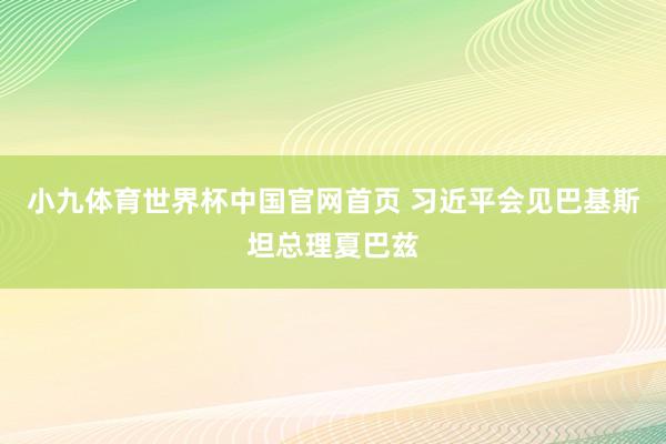 小九体育世界杯中国官网首页 习近平会见巴基斯坦总理夏巴兹