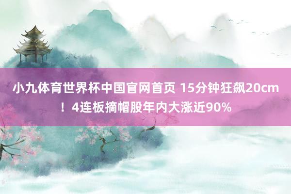 小九体育世界杯中国官网首页 15分钟狂飙20cm！4连板摘帽股年内大涨近90%