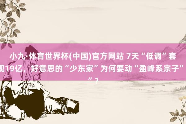 小九·体育世界杯(中国)官方网站 7天“低调”套现19亿，好意思的“少东家”为何要动“盈峰系宗子”？