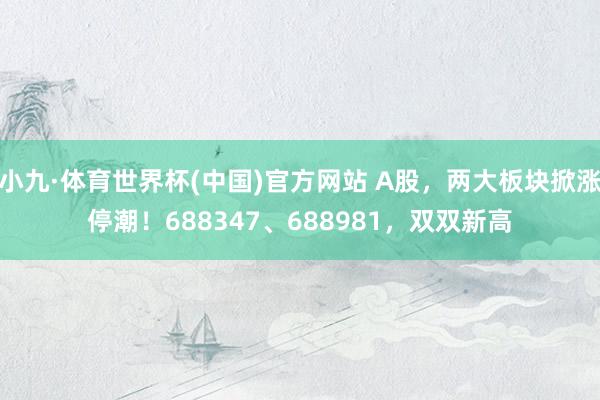 小九·体育世界杯(中国)官方网站 A股，两大板块掀涨停潮！688347、688981，双双新高