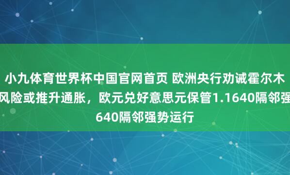小九体育世界杯中国官网首页 欧洲央行劝诫霍尔木兹海峡风险或推升通胀，欧元兑好意思元保管1.1640隔邻强势运行