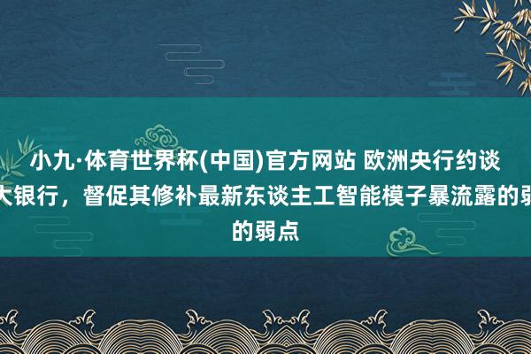 小九·体育世界杯(中国)官方网站 欧洲央行约谈各大银行，督促其修补最新东谈主工智能模子暴流露的弱点