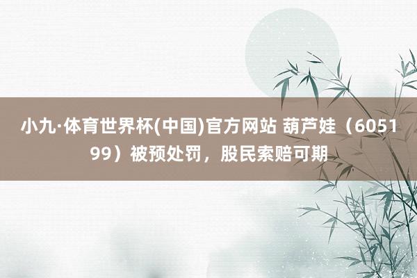小九·体育世界杯(中国)官方网站 葫芦娃（605199）被预处罚，股民索赔可期
