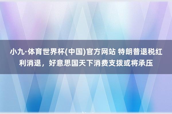 小九·体育世界杯(中国)官方网站 特朗普退税红利消退，好意思国天下消费支拨或将承压