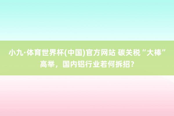 小九·体育世界杯(中国)官方网站 碳关税“大棒”高举，国内铝行业若何拆招？