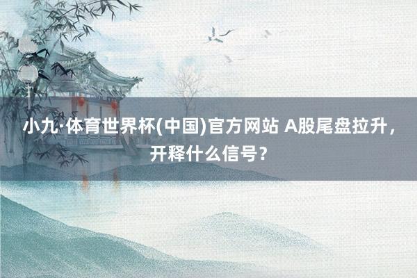 小九·体育世界杯(中国)官方网站 A股尾盘拉升，开释什么信号？