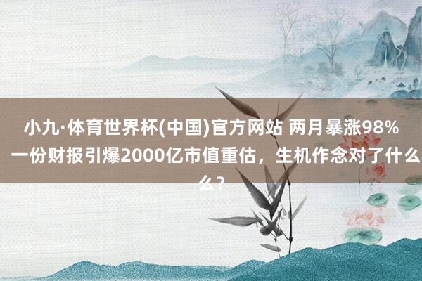 小九·体育世界杯(中国)官方网站 两月暴涨98%！一份财报引爆2000亿市值重估，生机作念对了什么？