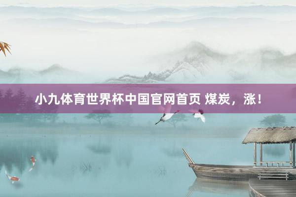 小九体育世界杯中国官网首页 煤炭，涨！