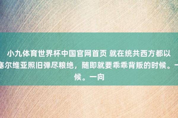 小九体育世界杯中国官网首页 就在统共西方都以为塞尔维亚照旧弹尽粮绝，随即就要乖乖背叛的时候。一向