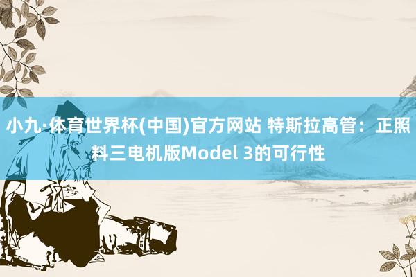 小九·体育世界杯(中国)官方网站 特斯拉高管：正照料三电机版Model 3的可行性