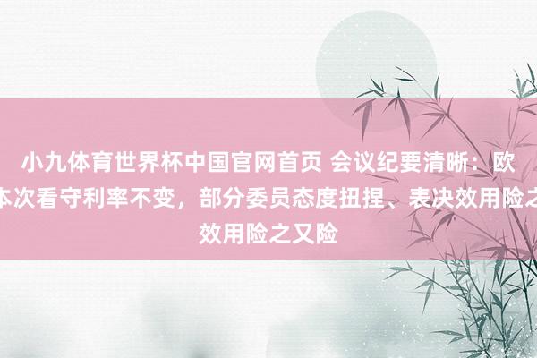 小九体育世界杯中国官网首页 会议纪要清晰：欧央行本次看守利率不变，部分委员态度扭捏、表决效用险之又险