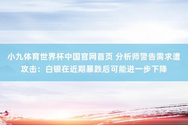 小九体育世界杯中国官网首页 分析师警告需求遭攻击：白银在近期暴跌后可能进一步下降