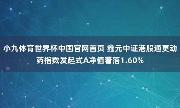 小九体育世界杯中国官网首页 鑫元中证港股通更动药指数发起式A净值着落1.60%