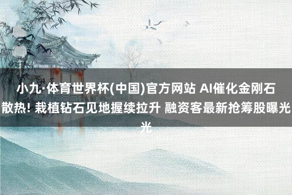 小九·体育世界杯(中国)官方网站 AI催化金刚石散热! 栽植钻石见地握续拉升 融资客最新抢筹股曝光