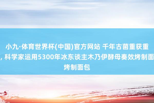 小九·体育世界杯(中国)官方网站 千年古菌重获重生， 科学家运用5300年冰东谈主木乃伊酵母奏效烤制面包