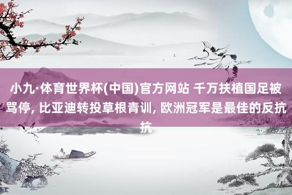 小九·体育世界杯(中国)官方网站 千万扶植国足被骂停， 比亚迪转投草根青训， 欧洲冠军是最佳的反抗