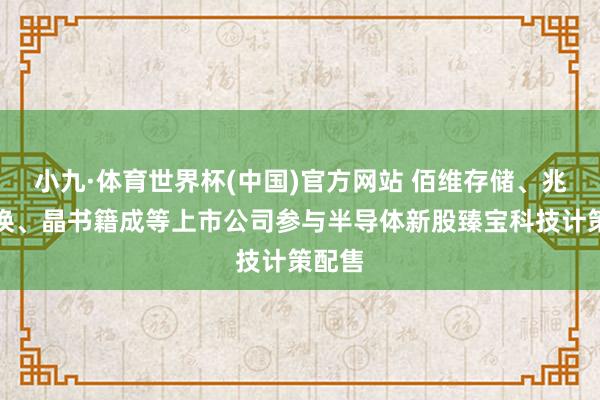 小九·体育世界杯(中国)官方网站 佰维存储、兆易转换、晶书籍成等上市公司参与半导体新股臻宝科技计策配售