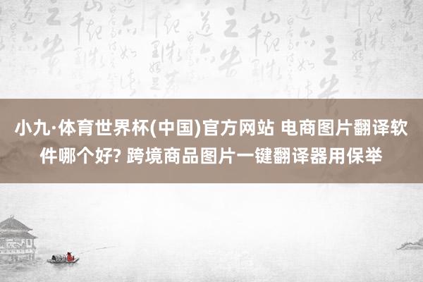 小九·体育世界杯(中国)官方网站 电商图片翻译软件哪个好? 跨境商品图片一键翻译器用保举