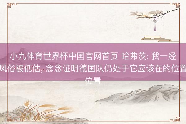 小九体育世界杯中国官网首页 哈弗茨: 我一经风俗被低估， 念念证明德国队仍处于它应该在的位置