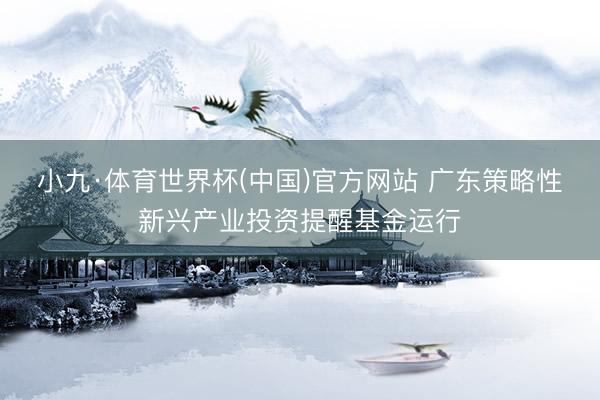 小九·体育世界杯(中国)官方网站 广东策略性新兴产业投资提醒基金运行