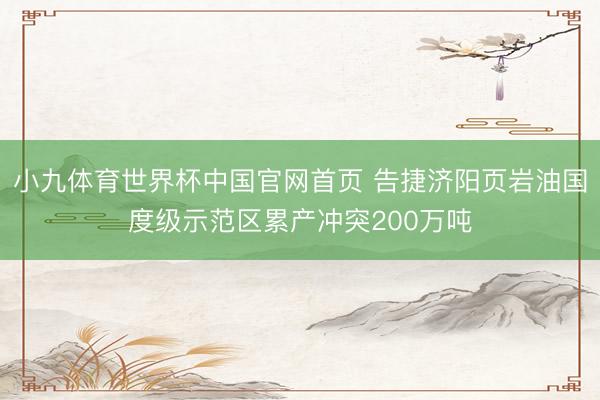 小九体育世界杯中国官网首页 告捷济阳页岩油国度级示范区累产冲突200万吨
