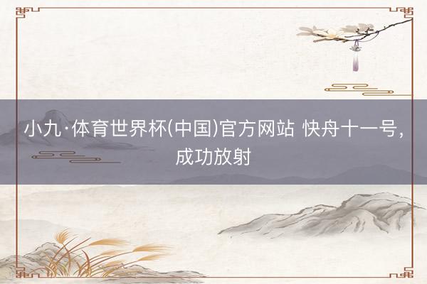 小九·体育世界杯(中国)官方网站 快舟十一号，成功放射