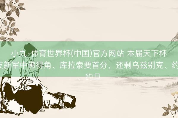小九·体育世界杯(中国)官方网站 本届天下杯4支新军中佛得角、库拉索要首分，还剩乌兹别克、约旦
